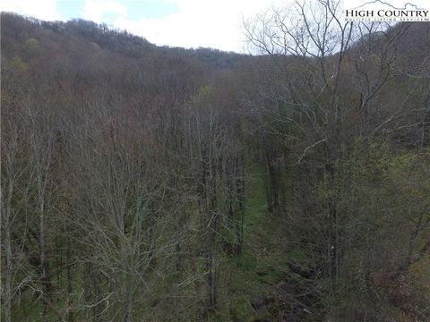 Photo of TBD/Lot 1 Trillium Creek Run, Newland, NC 28657 (MLS # 259207)