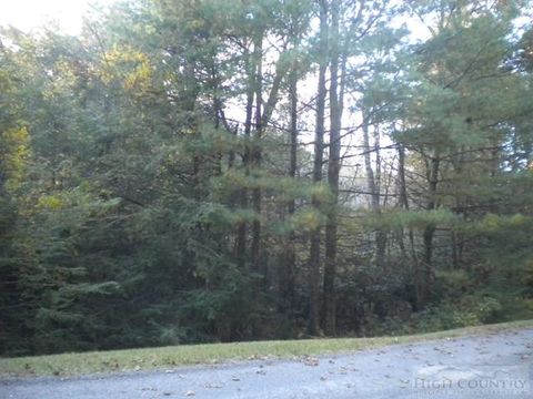 Vacant Land For Sale - LOT 1 Pine Chase<br/> Glade Valley, NC 28627