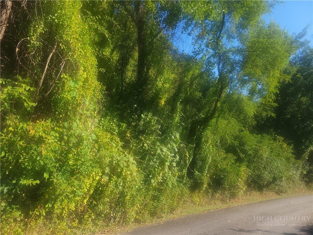 #2 Holly Hill Drive