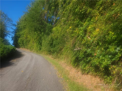 Vacant Land For Sale - #2 Holly Hill Drive<br/> Sparta, NC 28675