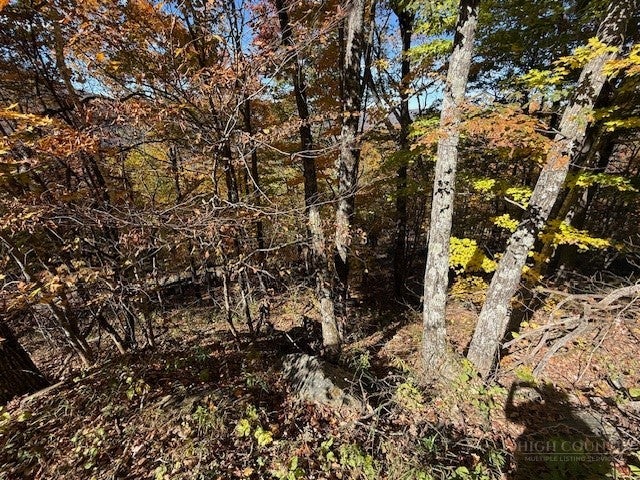 Lot 50-51 Poplar Trail
