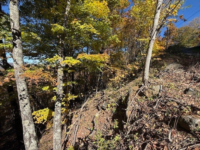 Lot 50-51 Poplar Trail