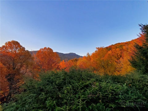 Photo of 260 Woodwinds Lane, Seven Devils, NC 28604 (MLS # 262882)