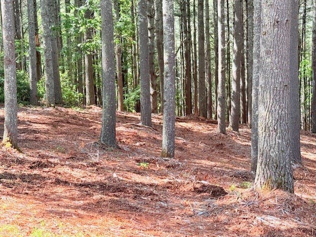 Photo of Lot 37 Smoke Rise Path, West Jefferson, NC 28694 (MLS # 262823)