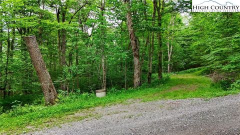 Photo of 233 Woodland Springs Trail, Boone, NC 28607 (MLS # 256117)