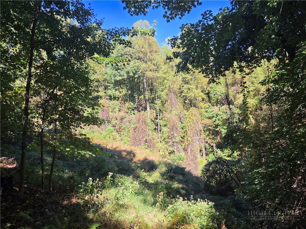 29 Elk Ridge Road