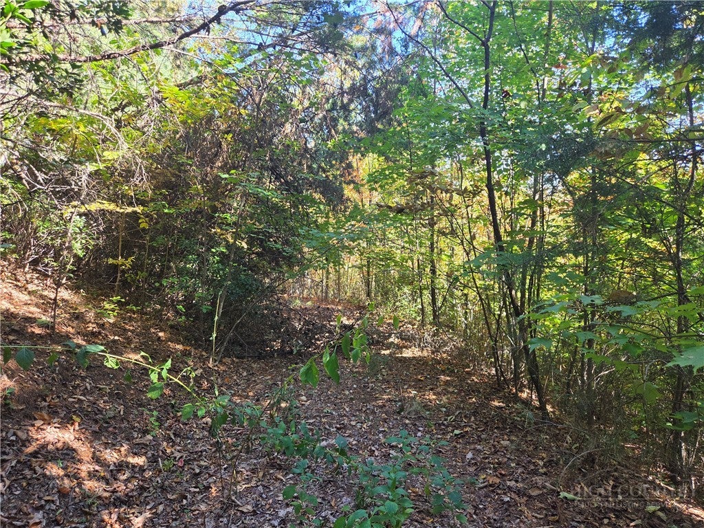 29 Elk Ridge Road