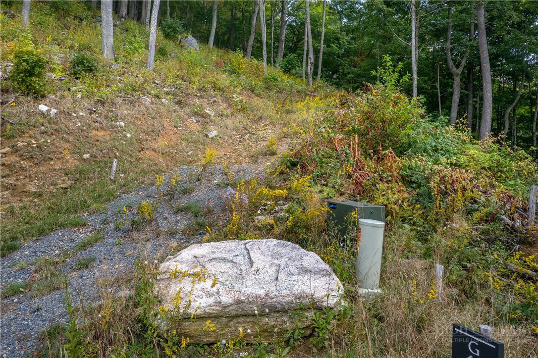 G-65 White Eagle Trail