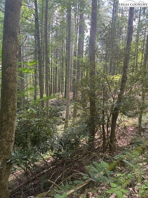 Photo of Lot 17 Sunny Lane, Crumpler, NC 28617 (MLS # 258531)