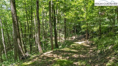 Photo of TBD Longhope Road, Todd, NC 28684 (MLS # 256878)