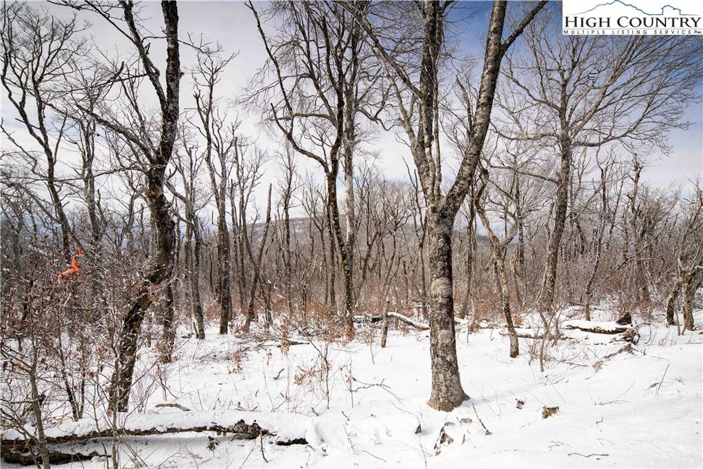 Photo of TBD (E2) Oz Road, Beech Mountain, NC 28604 (MLS # 259847)