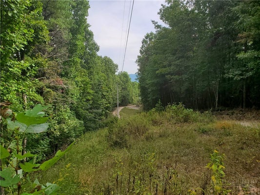 PEARSON MTN RD, BOOMER, NC 28606 - Image dad876a7bdb7d00494c597e4e8d9eac0/3948836597