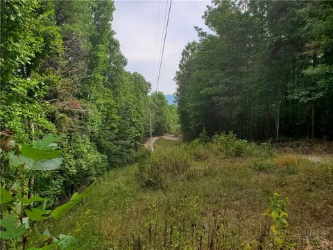 Photo of 3924 Pearson Mountain Road, Boomer, NC 28606 (MLS # 261610)