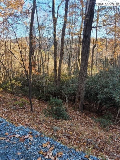 Photo of 251 Poplar Drive, Beech Mountain, NC 28604 (MLS # 258925)