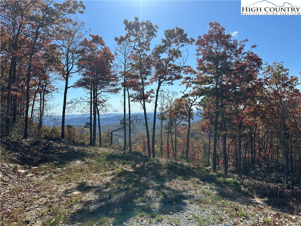 Boone, North Carolina 28607, United States, ,Land,Active,241775