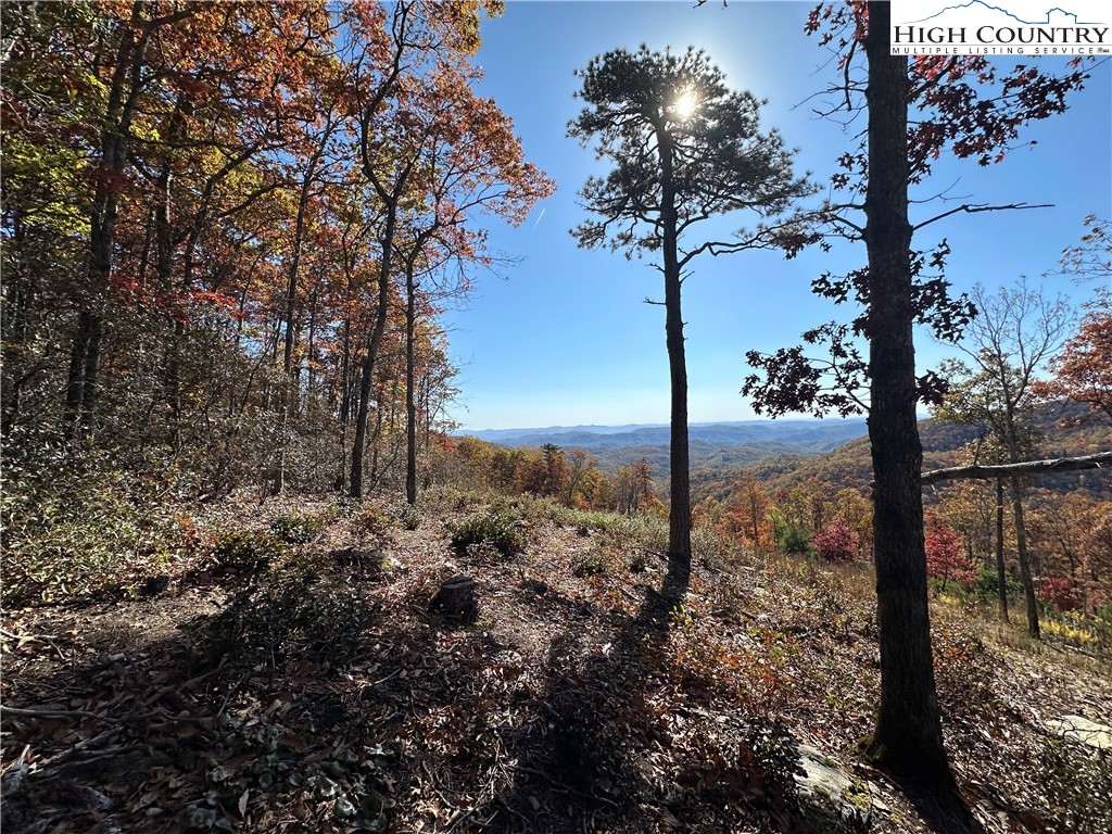 Boone, North Carolina 28607, United States, ,Land,Active,241775