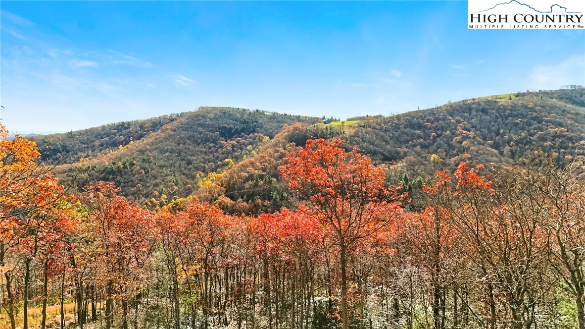 Boone, North Carolina 28607, United States, ,Land,Active,241775