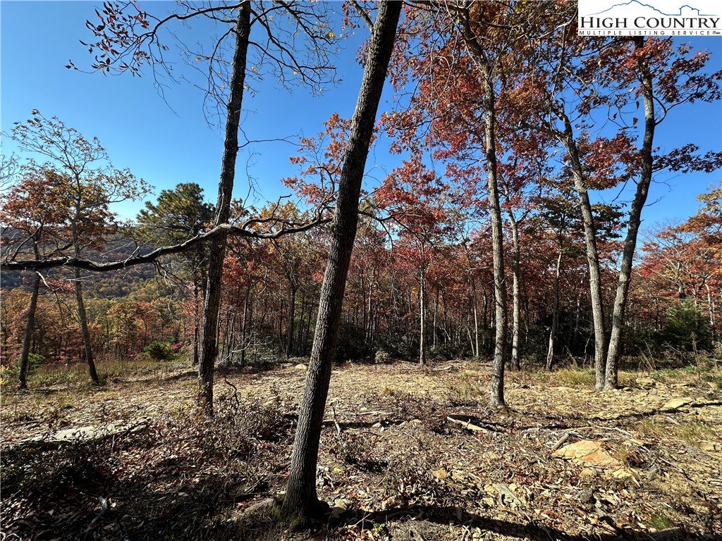 Boone, North Carolina 28607, United States, ,Land,Active,241775