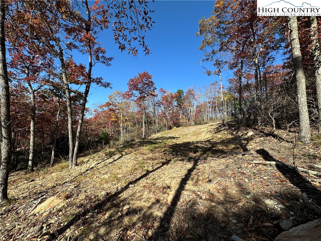 Boone, North Carolina 28607, United States, ,Land,Active,241775