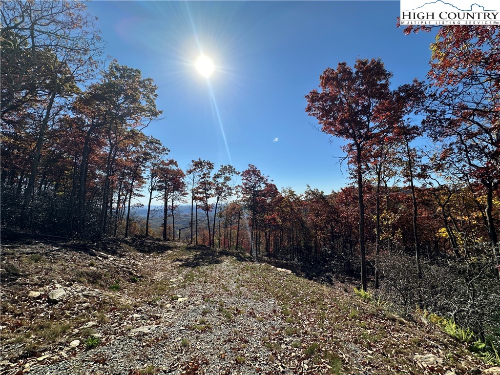 Boone, North Carolina 28607, United States, ,Land,Active,241775