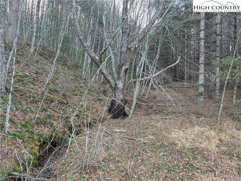 Photo of TBD Old Highway 16 Highway, Grassy Creek, NC 28631 (MLS # 259451)