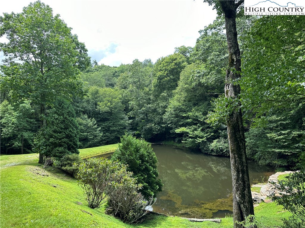 Boone, North Carolina 28607, United States, ,Land,Active,216894