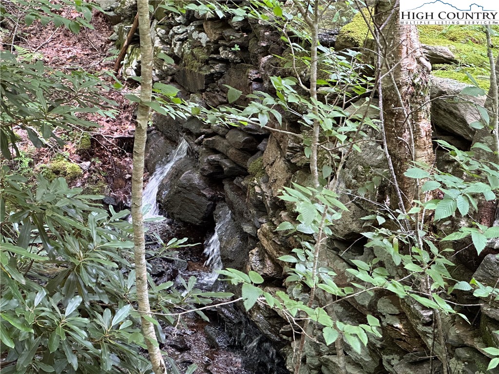 Boone, North Carolina 28607, United States, ,Land,Active,216894