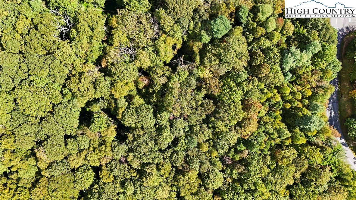 Boone, North Carolina 28607, United States, ,Land,Active,216894