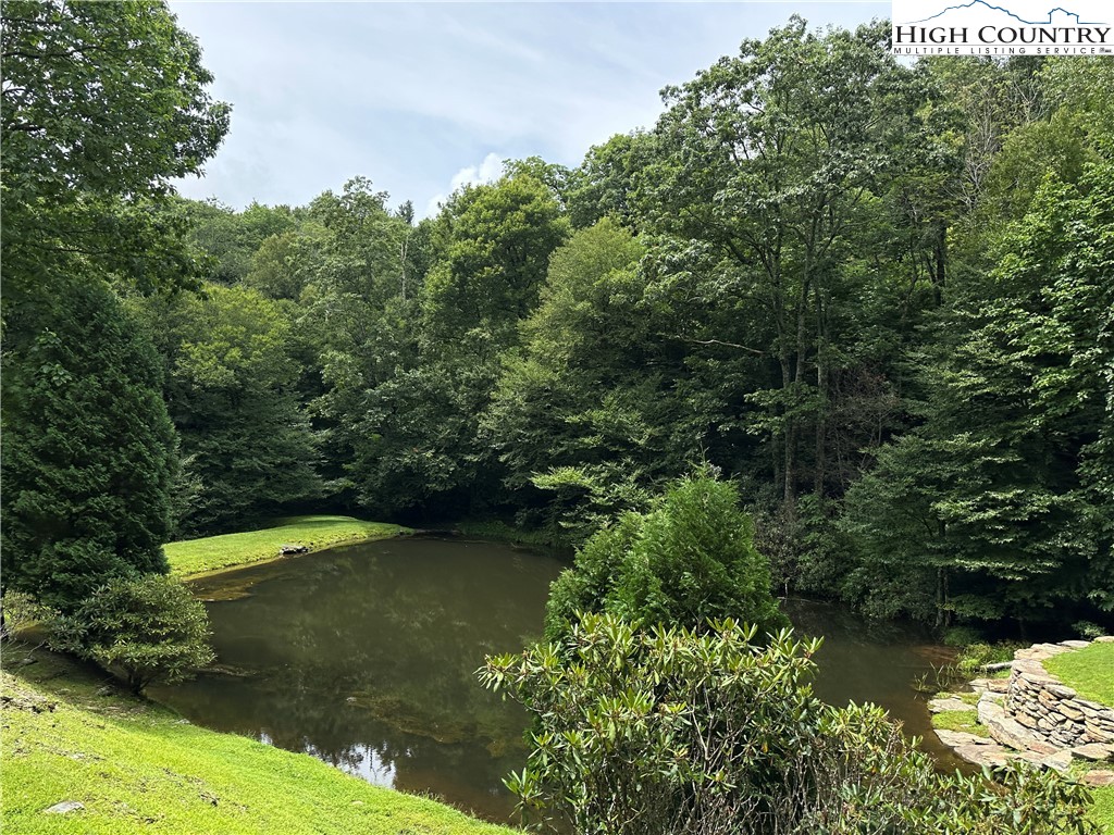 Boone, North Carolina 28607, United States, ,Land,Active,216894