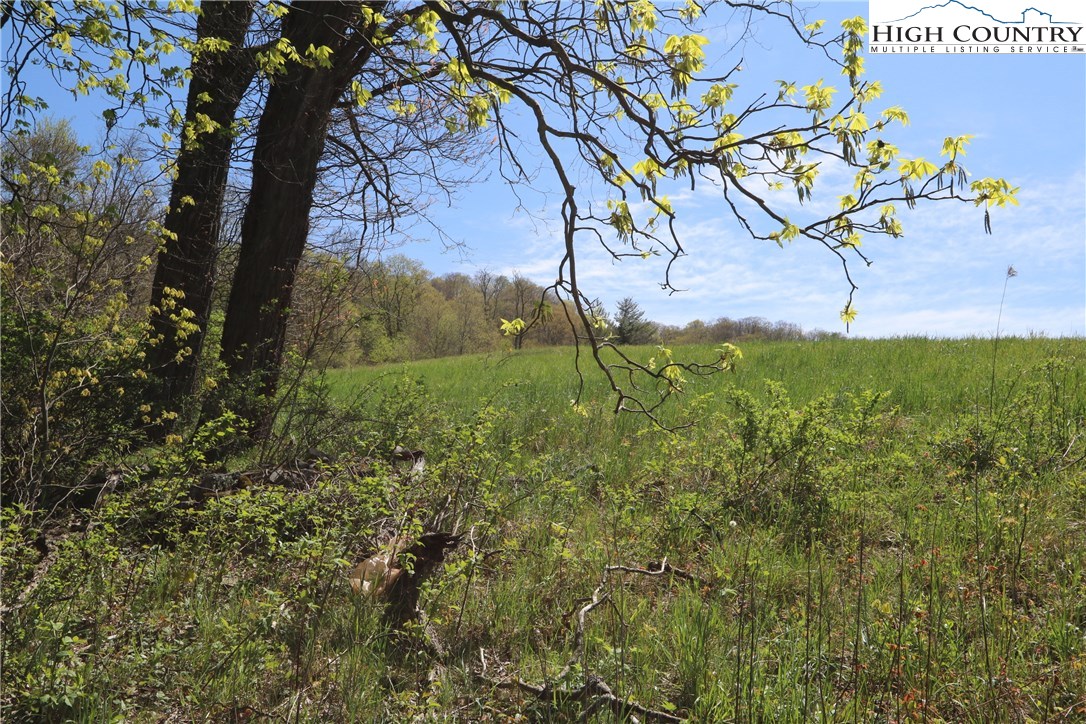 Boone, North Carolina 28607, United States, ,Commercial,Pending,76209