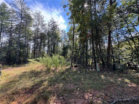 Photo of TBD Rainbow Trout Drive, Hays, NC 28635 (MLS # 264714)