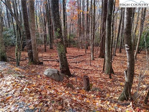 Photo of 205 Rhododendron Drive, Beech Mountain, NC 28604 (MLS # 259185)