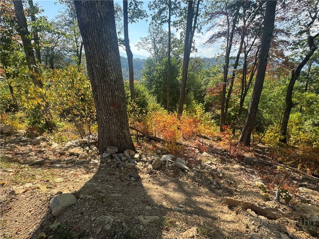 Lot 9 Eagles Crest Trail