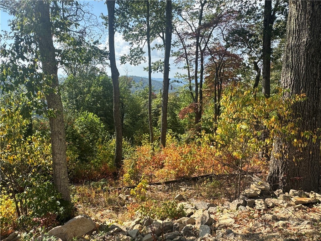 Lot 9 Eagles Crest Trail