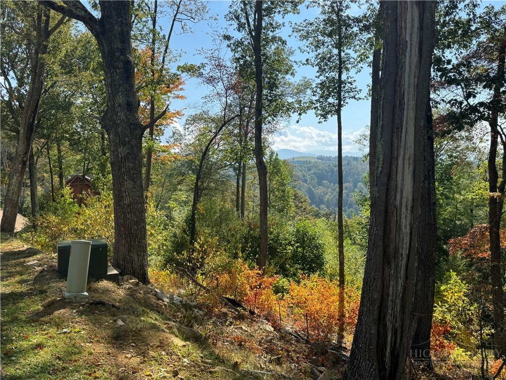 Lot 9 Eagles Crest Trail