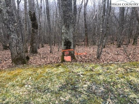 Photo of TBD Saddle Road, Boone, NC 28607 (MLS # 260824)