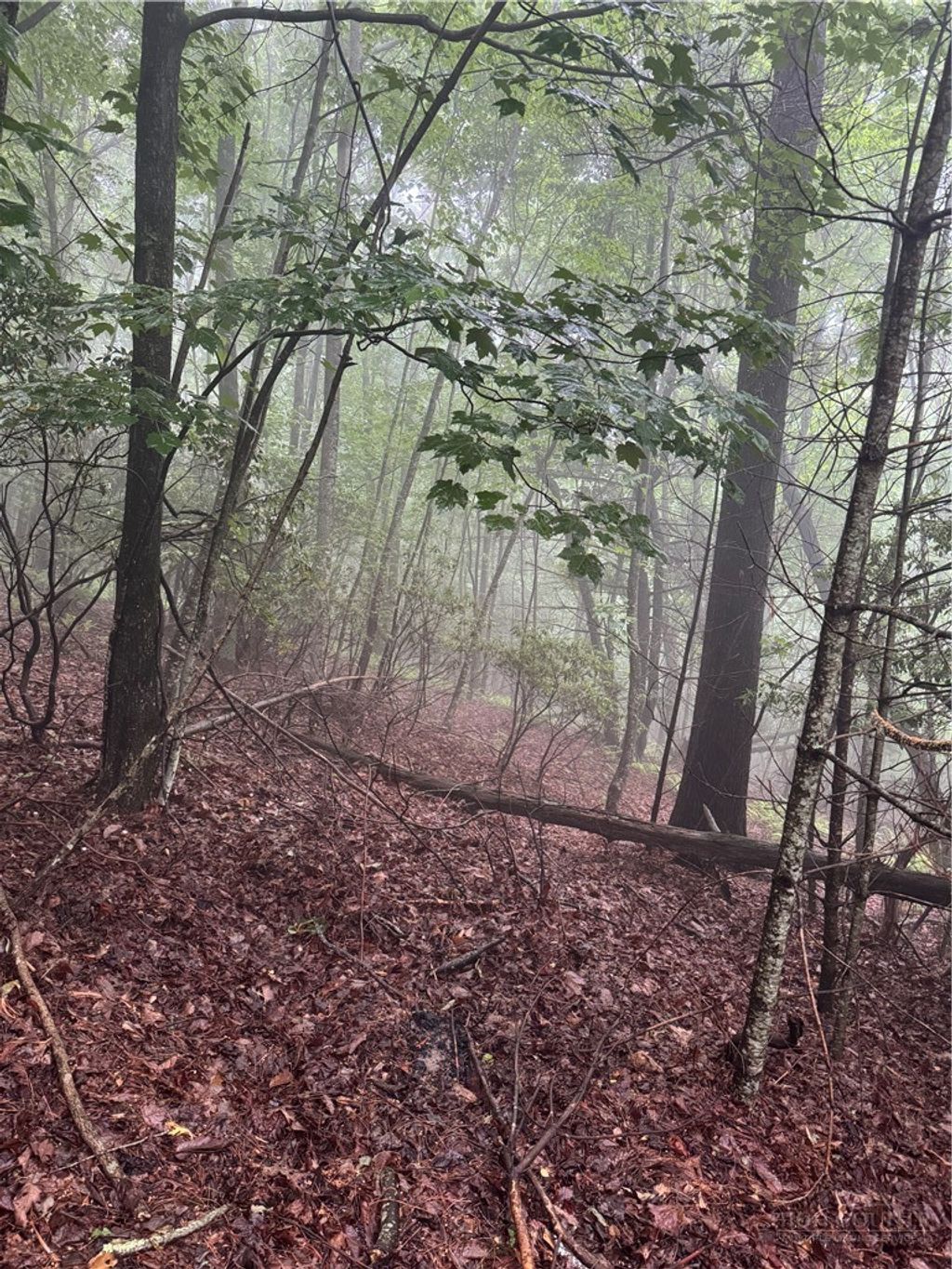 Photo of tbd Wildcat Estates Drive, Deep Gap, NC 28618 (MLS # 262089)