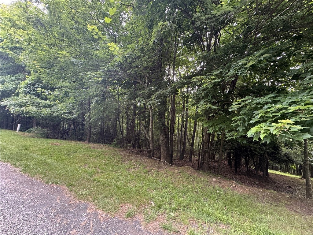 tbd Wildcat Estates Drive