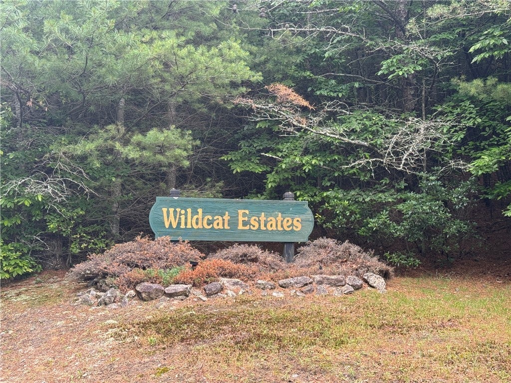 tbd Wildcat Estates Drive