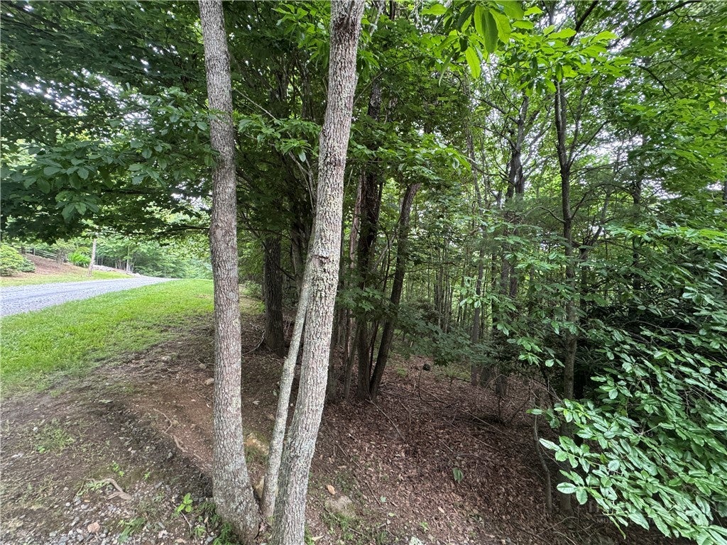 tbd Wildcat Estates Drive