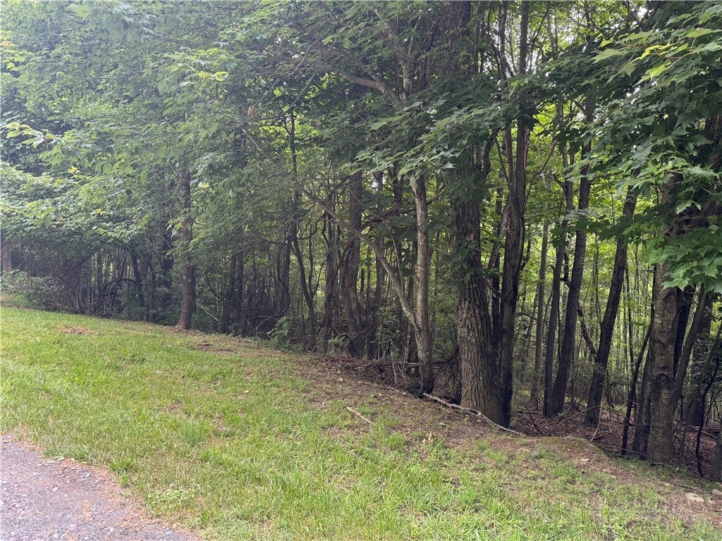 tbd Wildcat Estates Drive