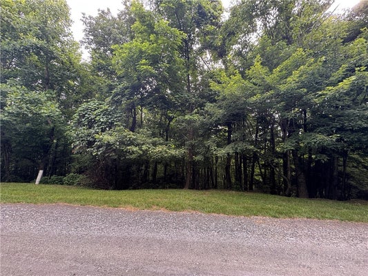 WILDCAT ESTATES DR, DEEP GAP, NC 28618 - Image dcf7e8af8d5e77f434764a7d9823e2ce/820784064