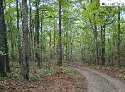 Photo of TBD Elk Knob Road, Laurel Springs, NC 28644 (MLS # 257453)