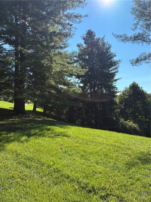 BUCKEYE RIDGE RUN, SPARTA, NC 28675 - Image dd782999562dd5fa3d37d80ade6c2e1e/1597246899