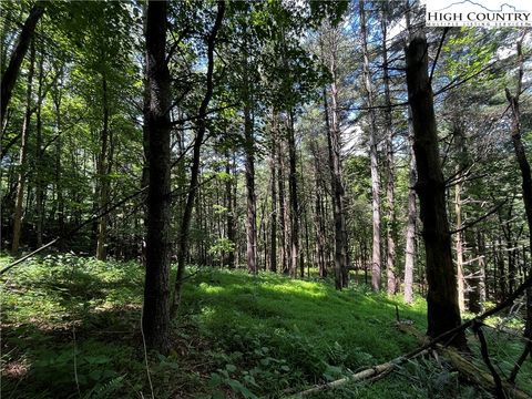 Photo of TBD Milton Moretz Road, Boone, NC 28607 (MLS # 244543)