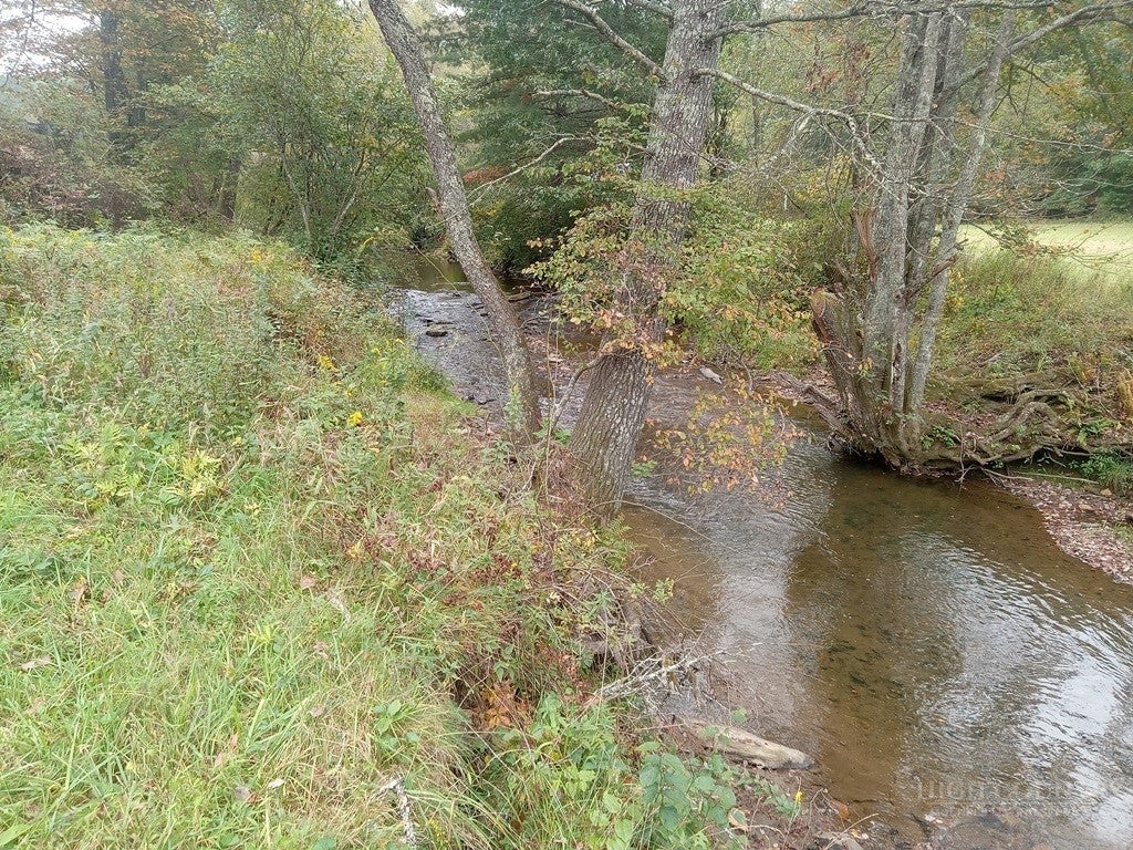 TBD Big Peak Creek Road