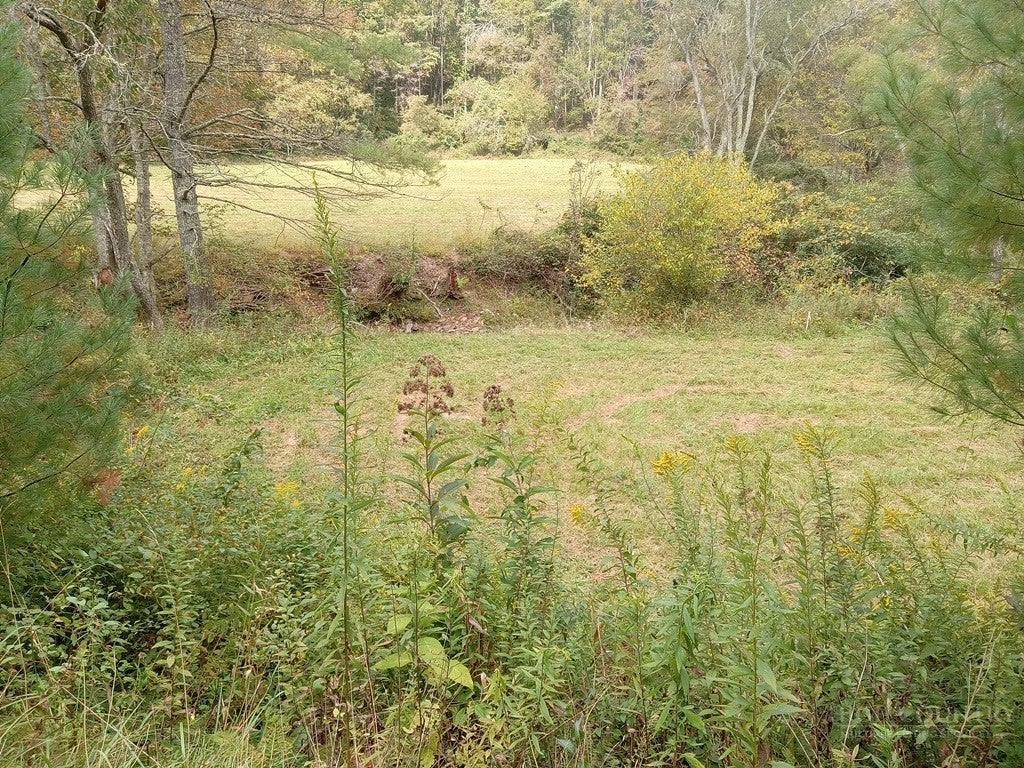 TBD Big Peak Creek Road