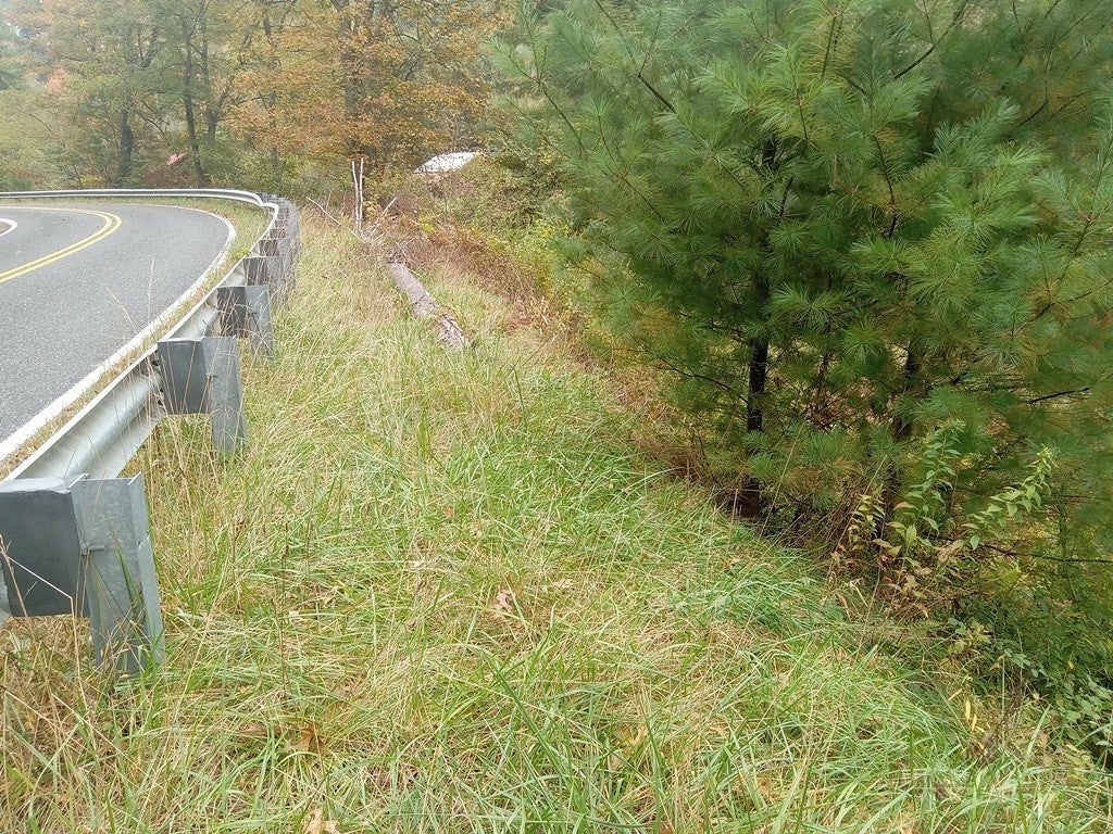 TBD Big Peak Creek Road