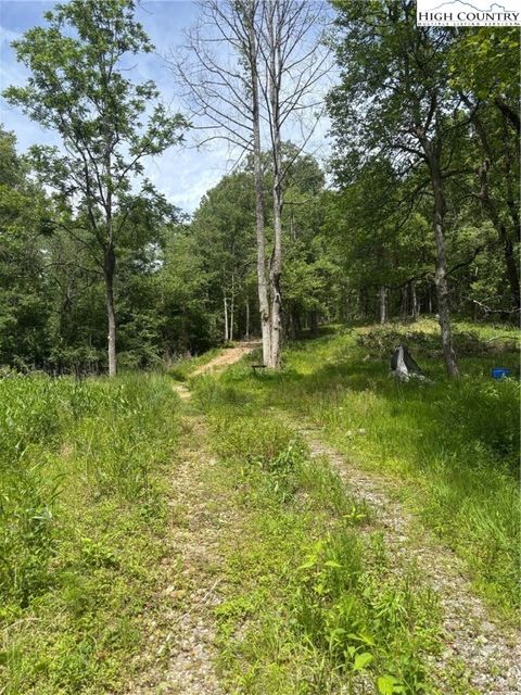 Photo of TBD Round Hill Church Road, Traphill, NC 28685 (MLS # 255648)