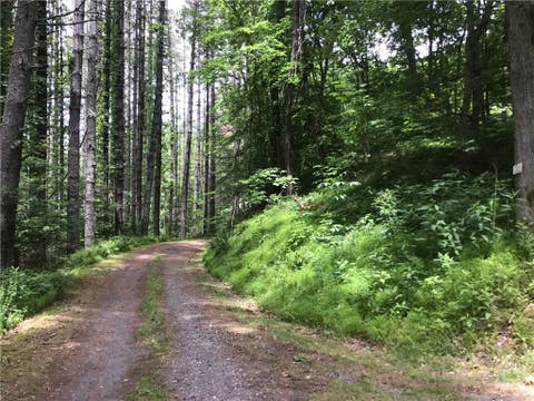 Photo of 128 Hideaway DR, Crumpler, NC 28617 (MLS # 262520)